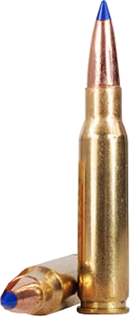 308 Winchester