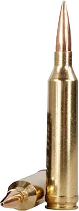 264 Winchester Magnum