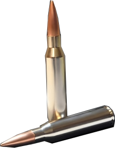 338 Lapua Magnum